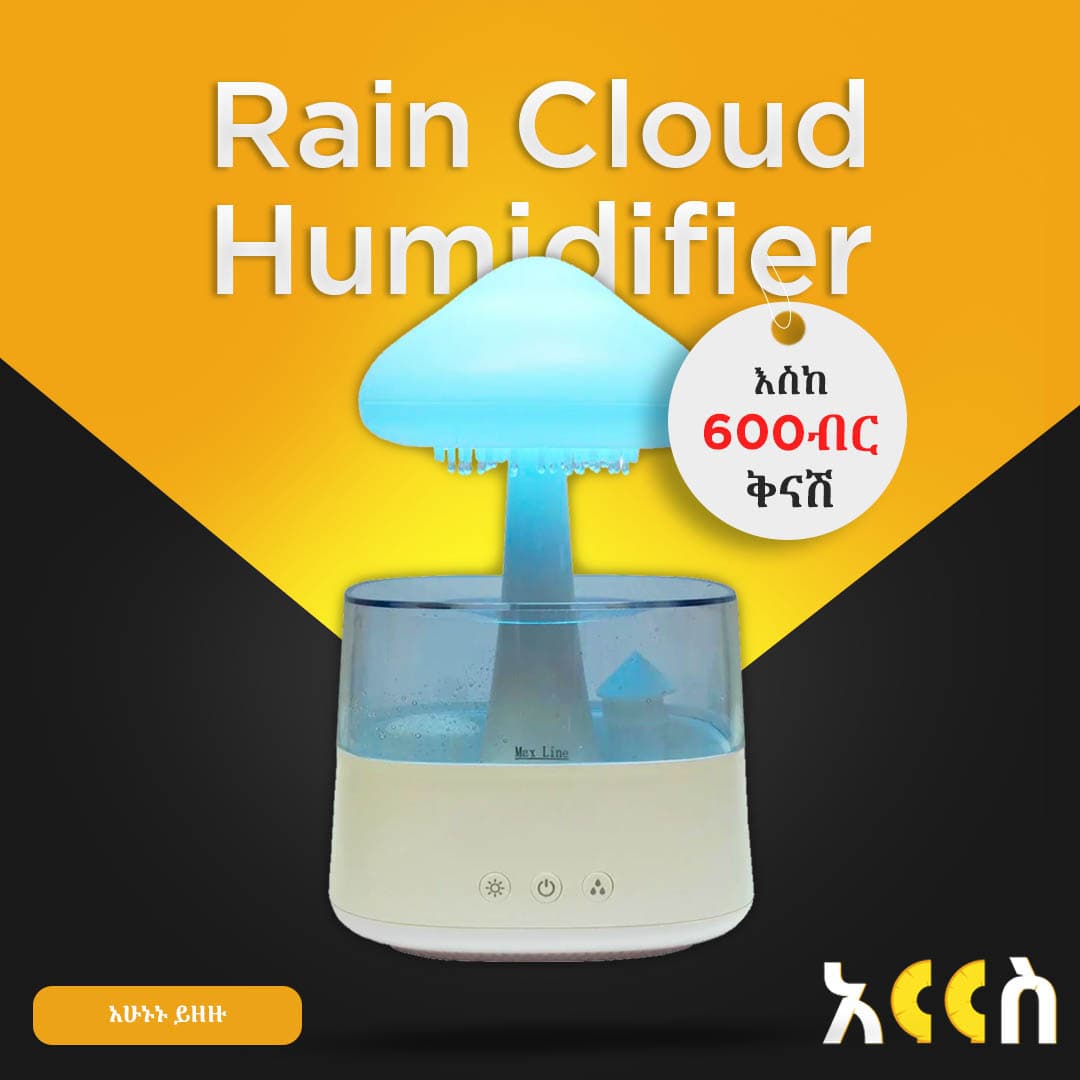 Rain Cloud Humidifier