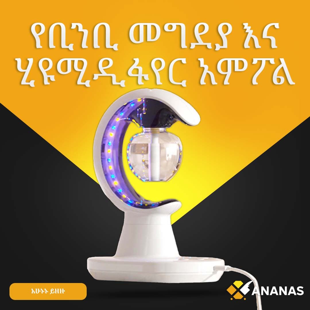የቢንቢ መግደያ ሂዩሚዲፋየር አምፖል Mosquito Repellent Humidifier Lamp