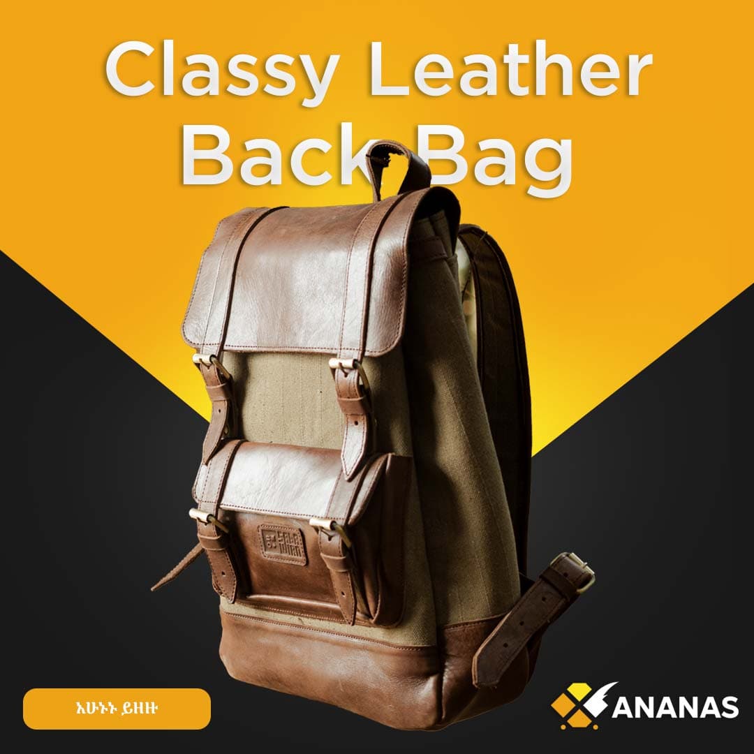 Classy Leather Back Bag