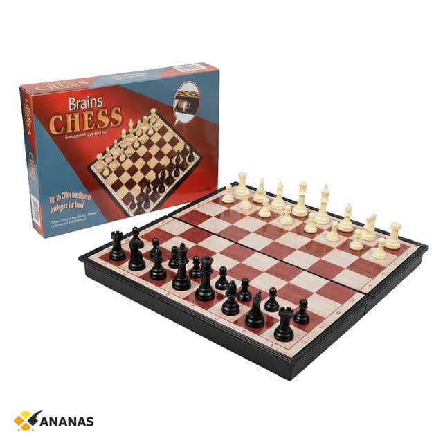 Family Magnetic Chess Set. Folding Board with Magnetic Pieces & Storage