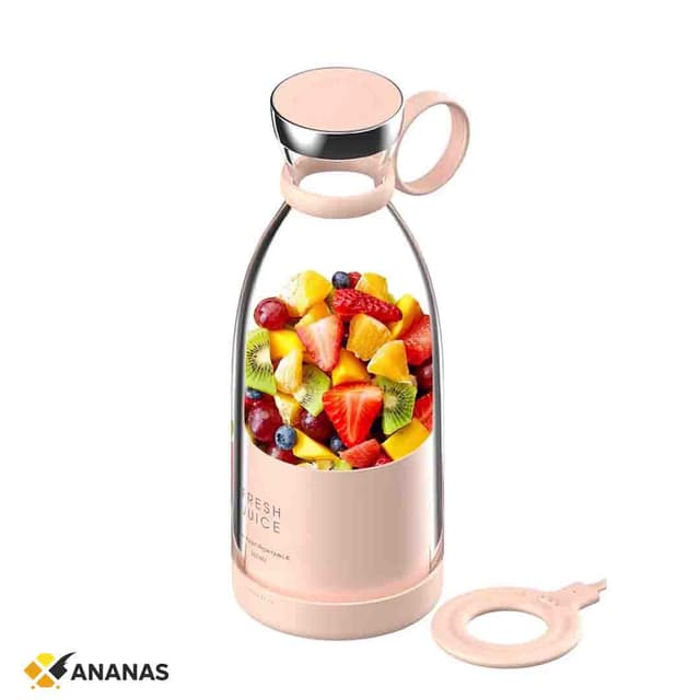Mini Portable Juicer