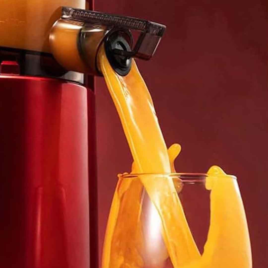 Sokany Slow Juicer Machine. Cold Press Extractor with Quiet Motor & Easy Clean Design for Fruits & Vegetables